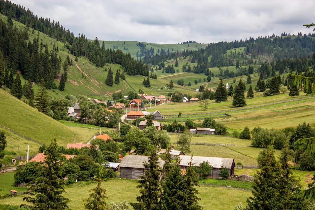 Picnic Panzio Bed and Breakfast Lunca de Sus Buitenkant foto
