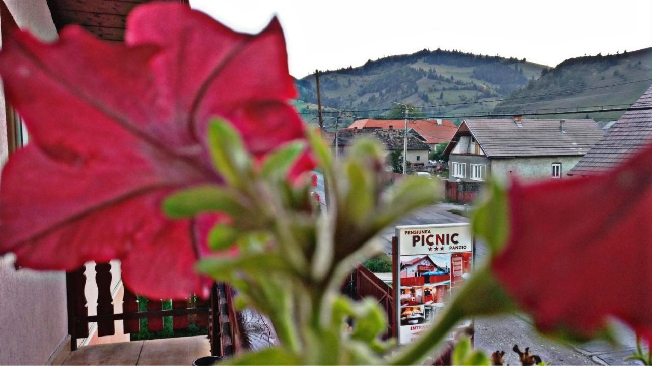 Picnic Panzio Bed and Breakfast Lunca de Sus Buitenkant foto